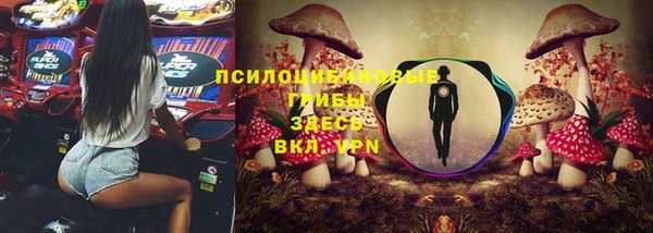 бошки Аркадак