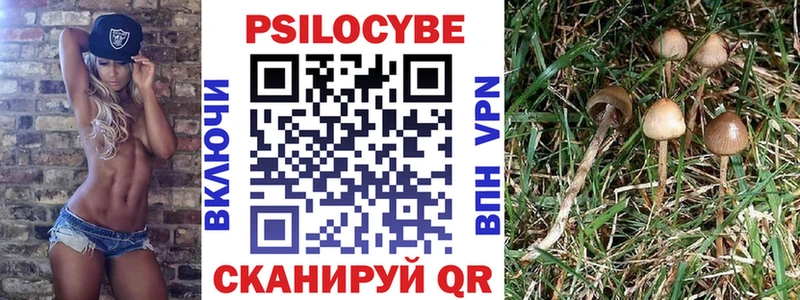 Галлюциногенные грибы Cubensis продажа наркотиков Поронайск